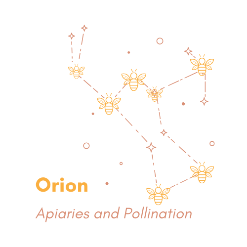 Orion